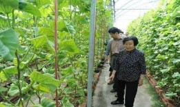 网红家暴吃瓜是真的吗知乎,真相还是吃瓜？揭秘网络热议背后的真相